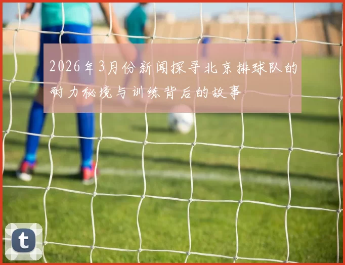 2026年3月份新闻探寻北京排球队的耐力秘境与训练背后的故事